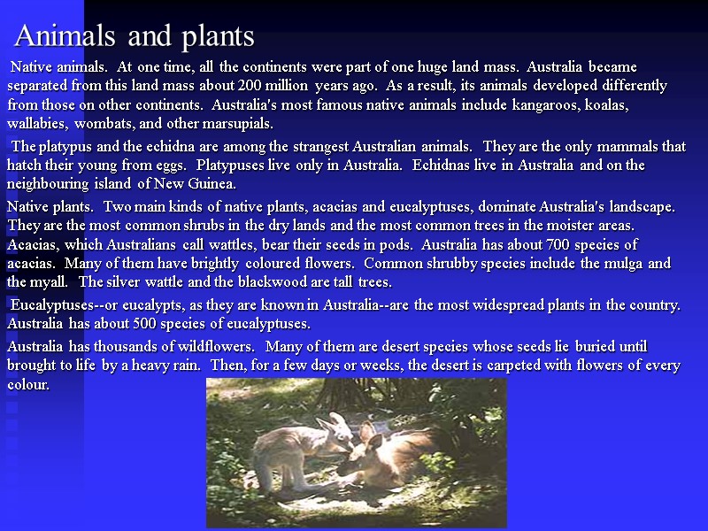 Animals and plants   Native animals.  At one time, all the continents